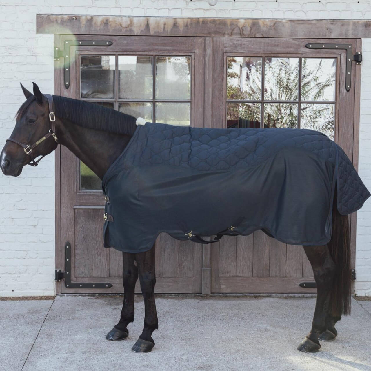 Transportdecke Abschwitzdecke Combo Cooler