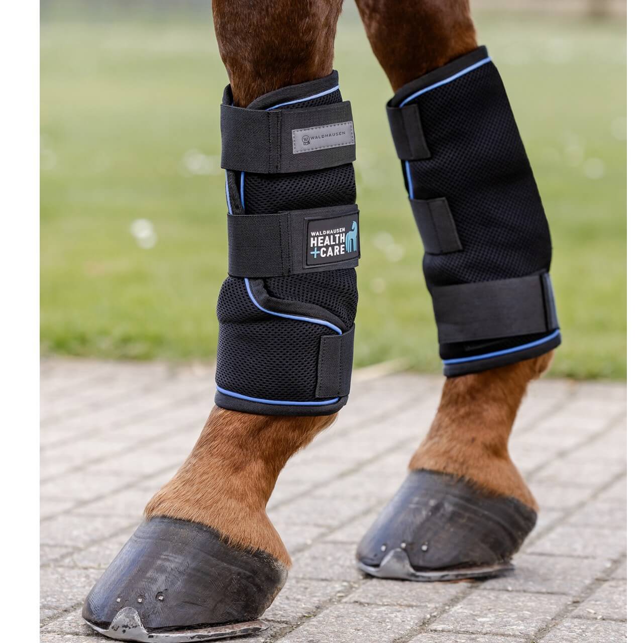 Kühlgamaschen Ice Layer Gamaschen