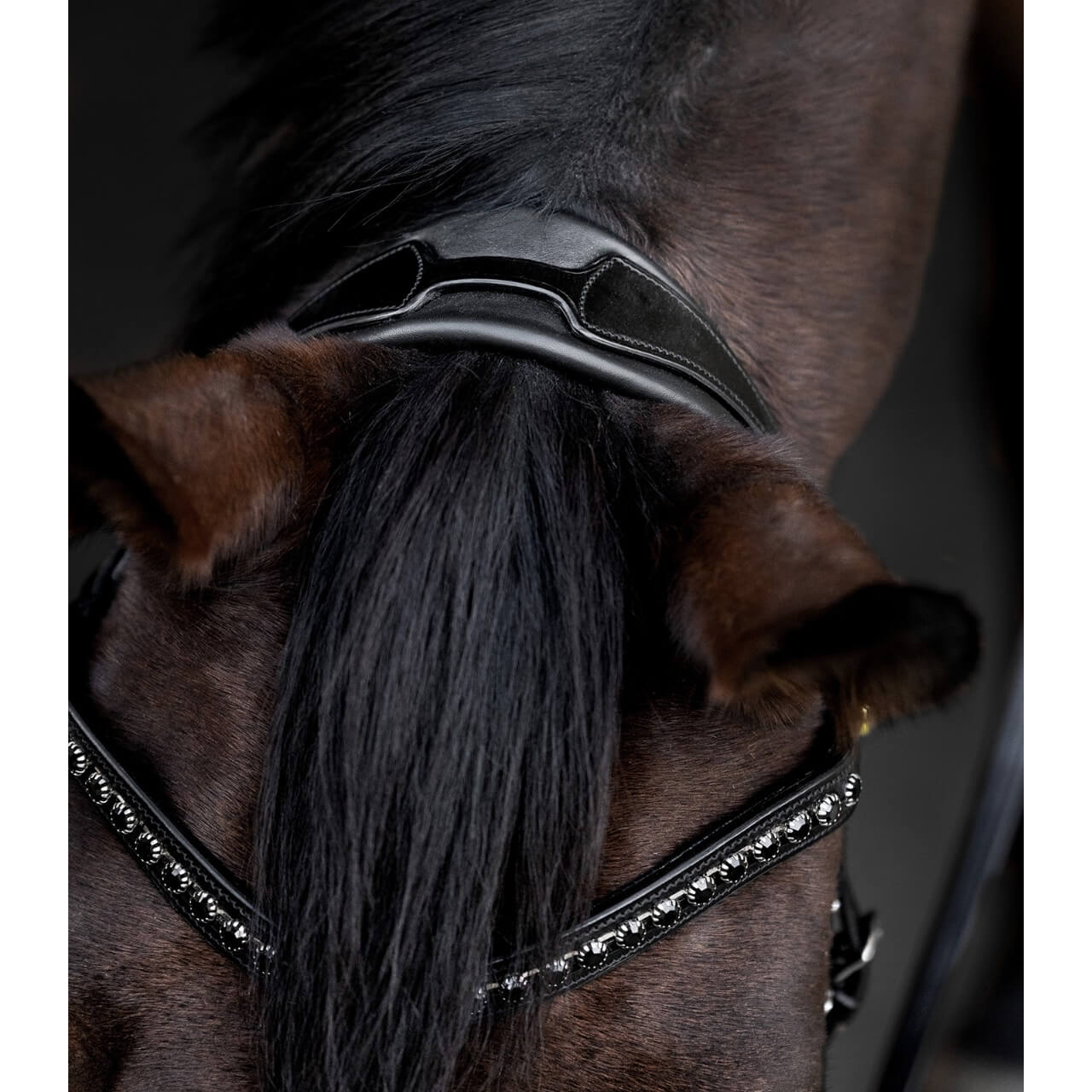Trensenzaum S-line Blackshine Lacktrensenzaum