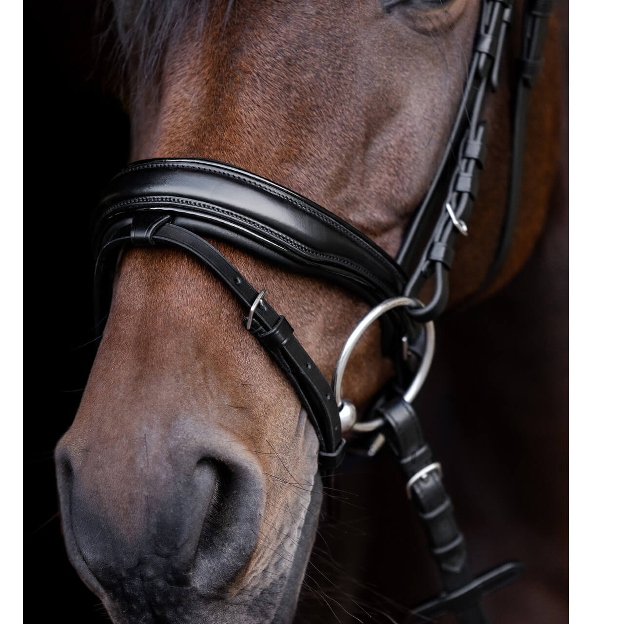 Trensenzaum S-line Blackshine Lacktrensenzaum