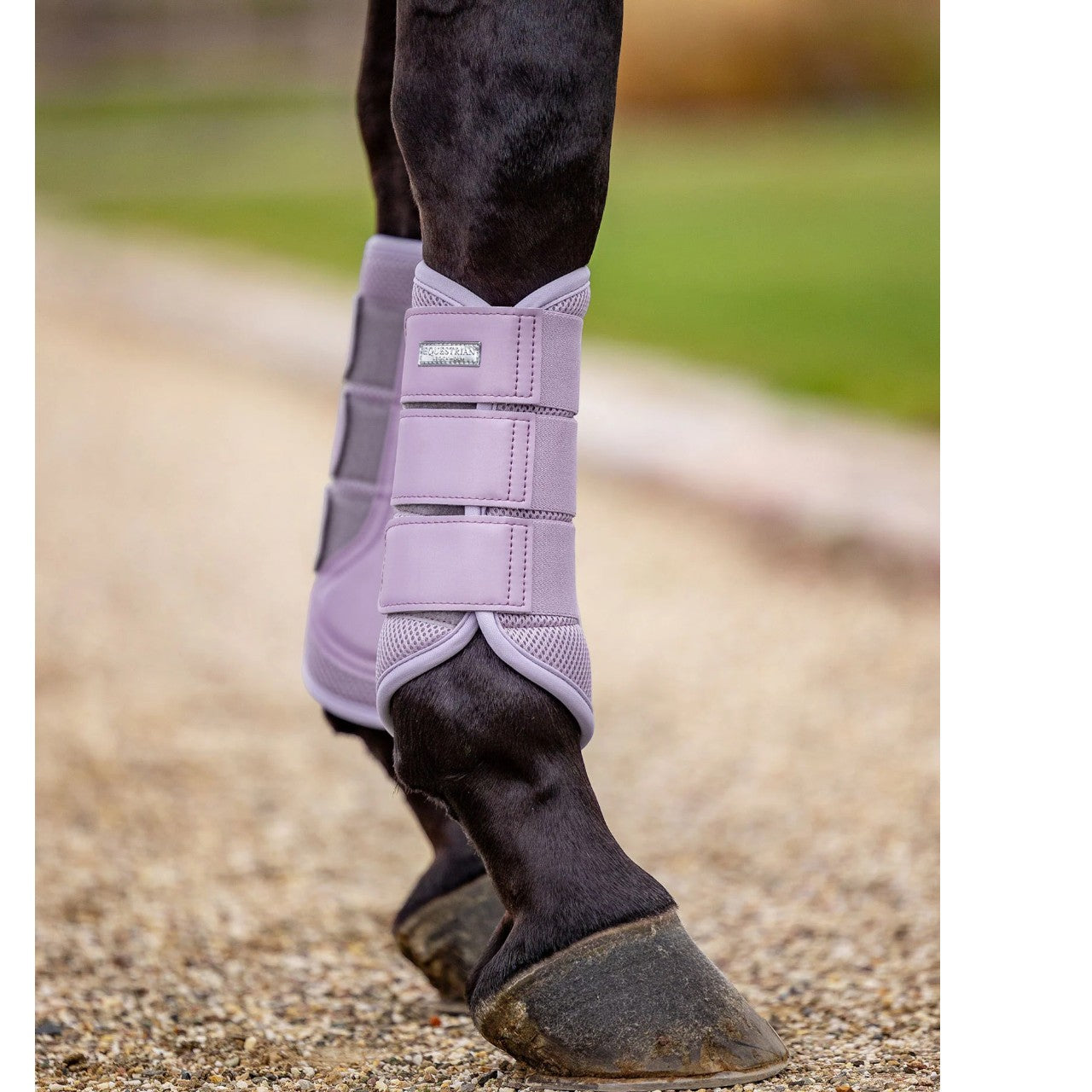Dressurgamaschen Lavendel Mesh Brushing Boots