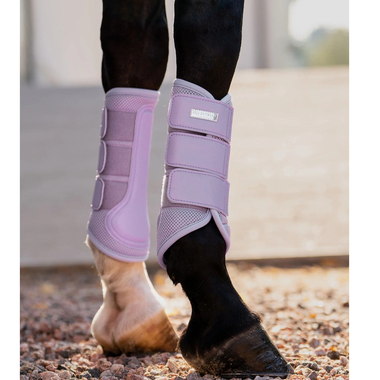 Dressurgamaschen Lavendel Mesh Brushing Boots