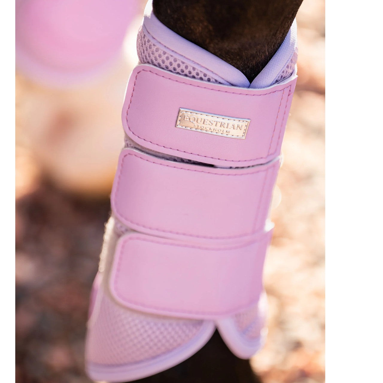 Dressurgamaschen Lavendel Mesh Brushing Boots