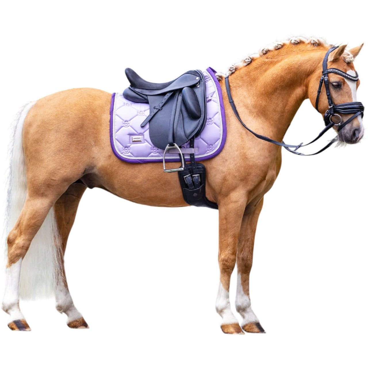 Equestrian Stockholm Dressurschabracke Lavender Pearl Schabracke, Lavender Pearl, am Pferd getragen.