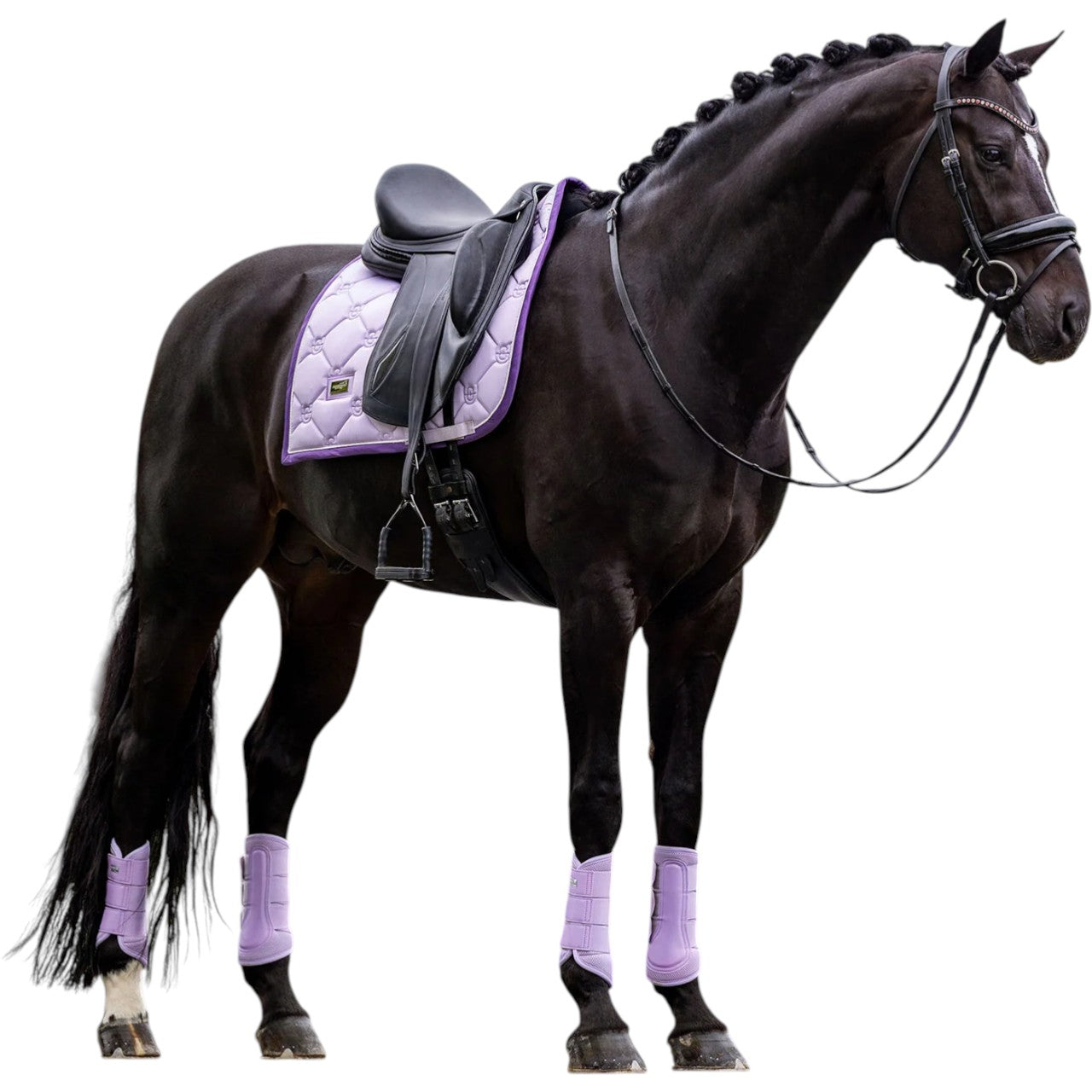 Dressurschabracke Lavender Schabracke