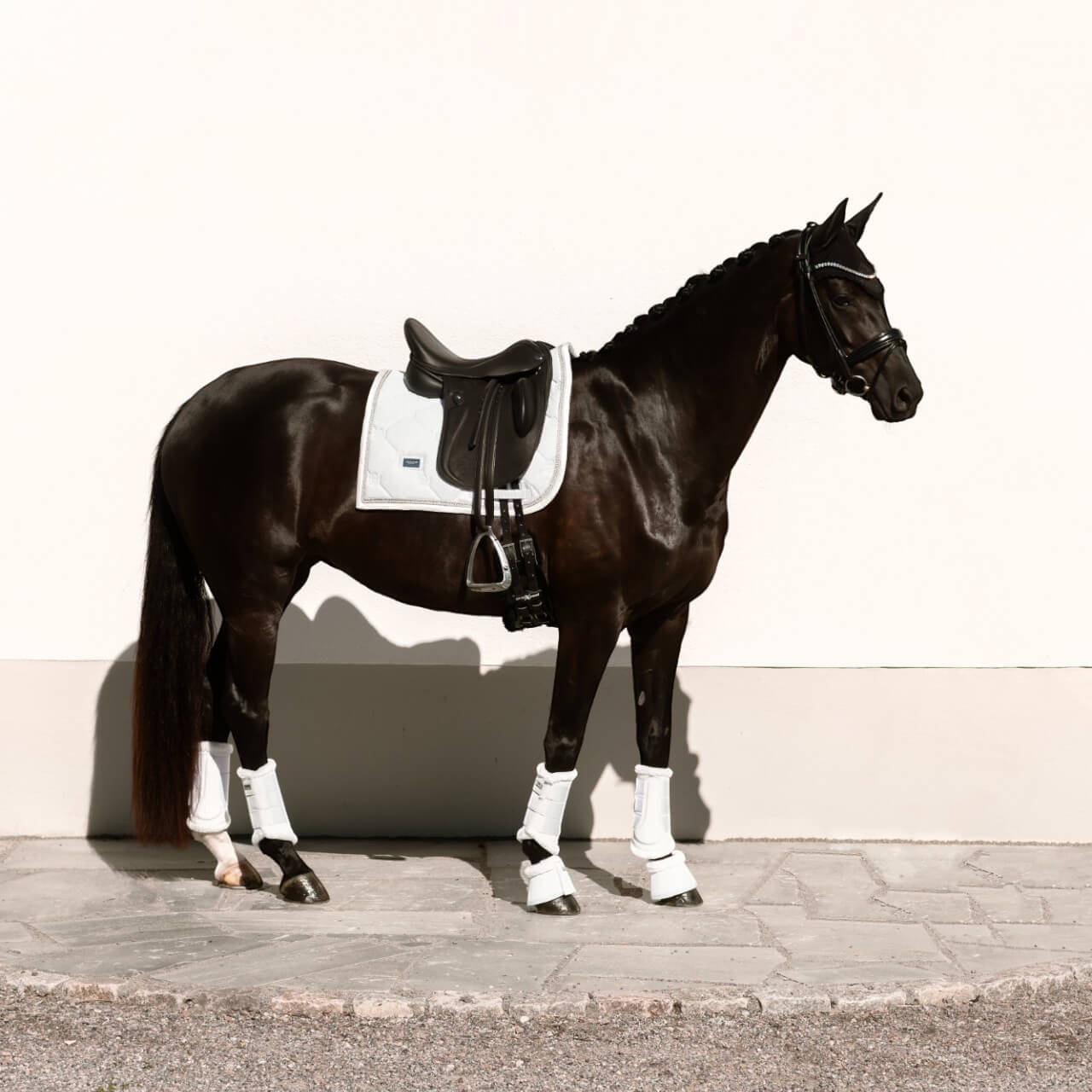 Dressurschabracke Timeless White Glimmer Dressur Schabracke