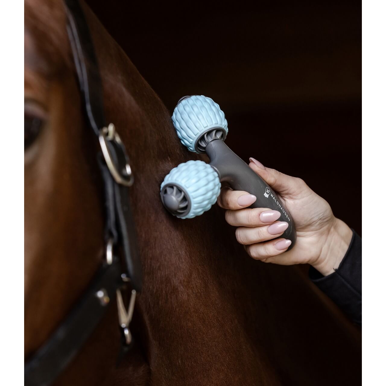 Massageroller Health & Care Comfort Creator