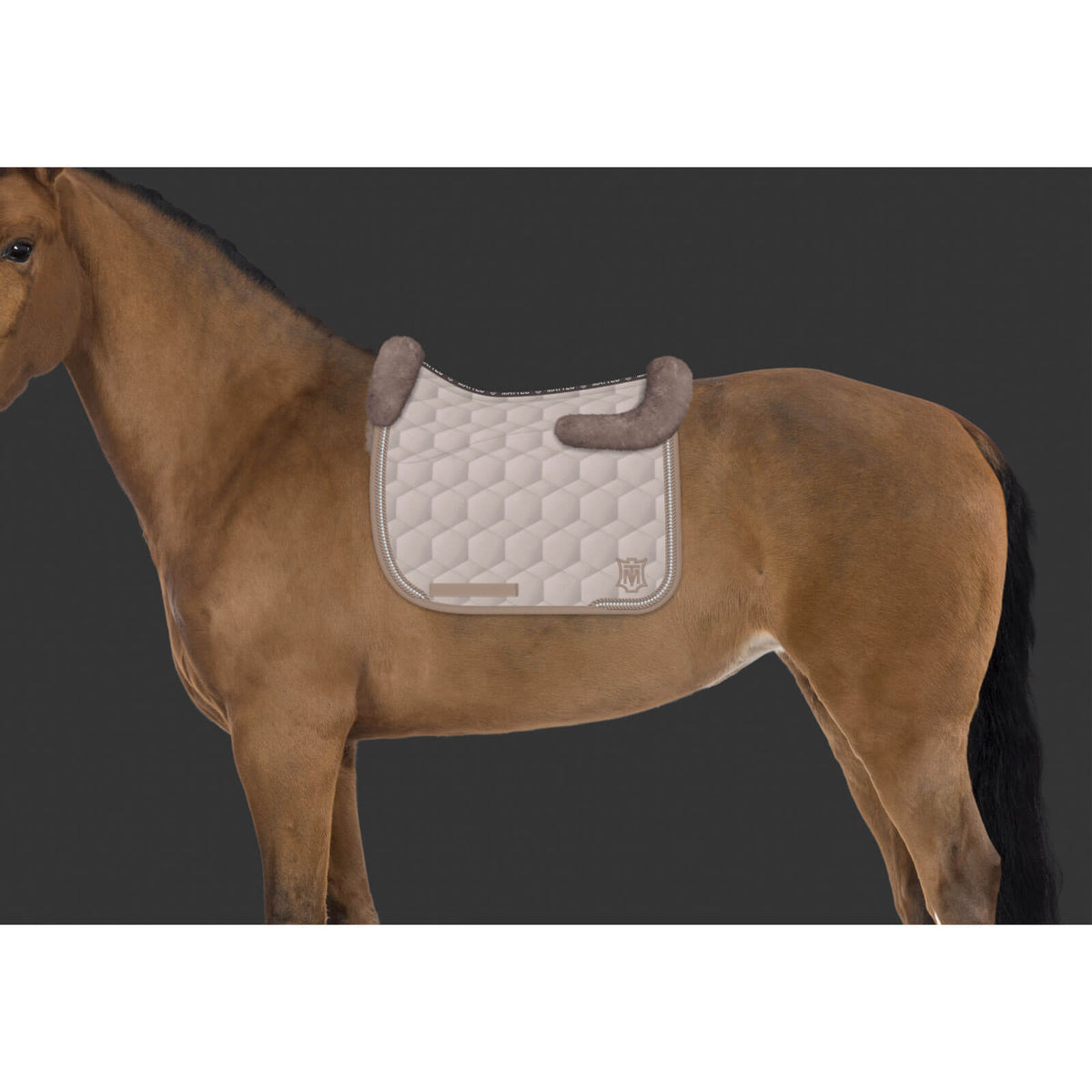 Schabracke Dressur Konfiguration Steppstoff Glanz Walnuss Glitzer Dressurschabracke, Beige, Pferd trägt sie seitlich.