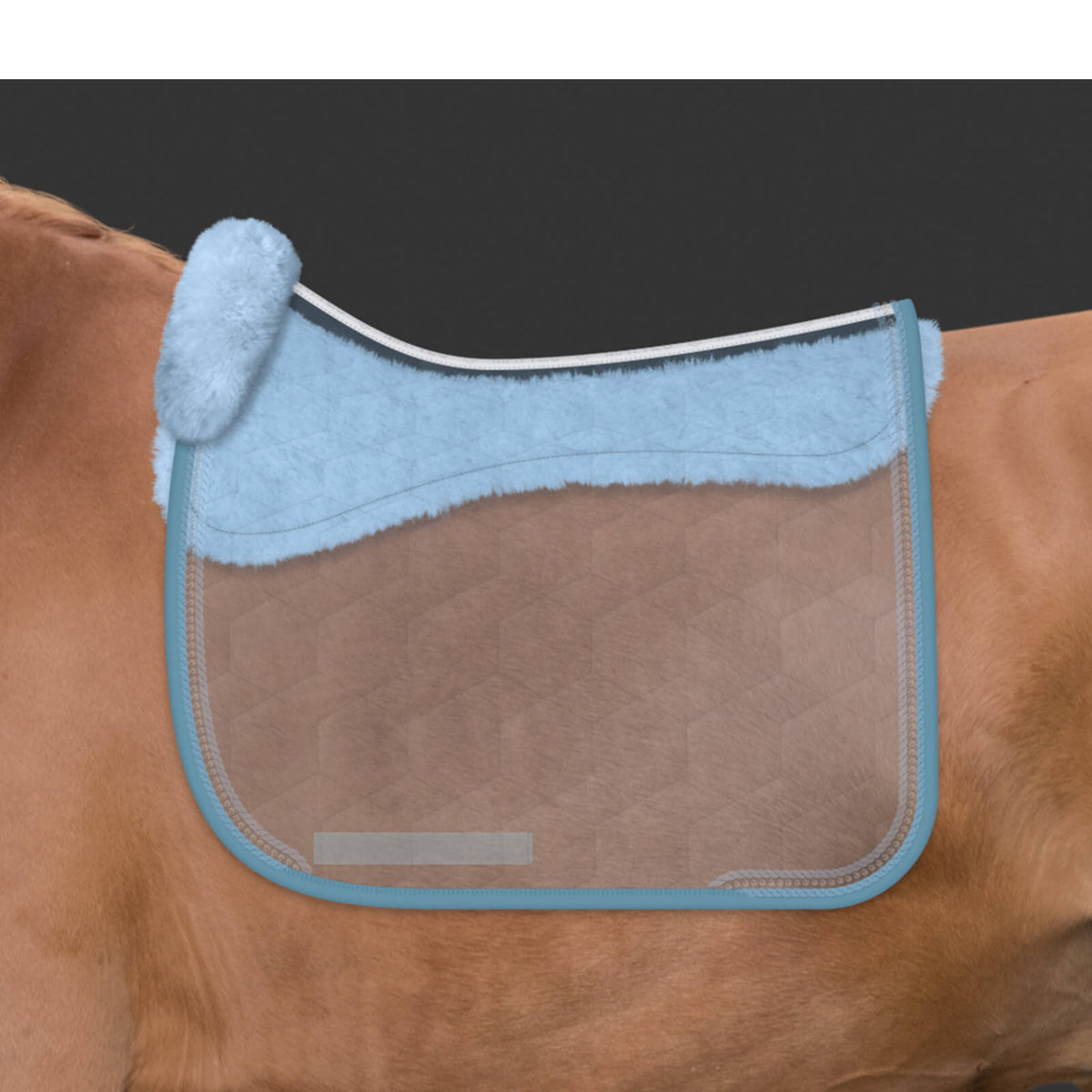 Schabracke Dressur Konfiguration Steppstoff Neu Cornet Blue Dressurschabracke, Cornet Blue, am Pferd getragen.