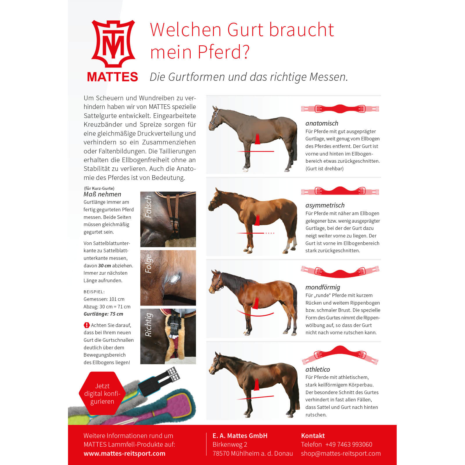 Sattelgurt anatomischer Kurzgurt Lammfellgurt