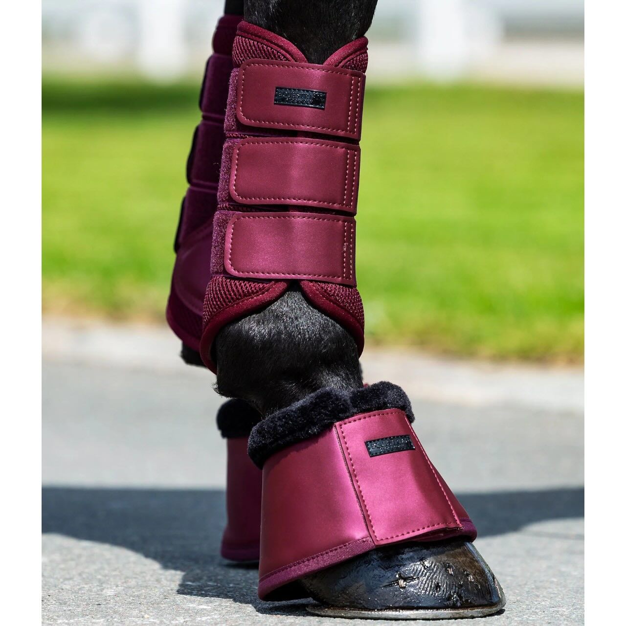 Hufglocken Merlot Hufschutz