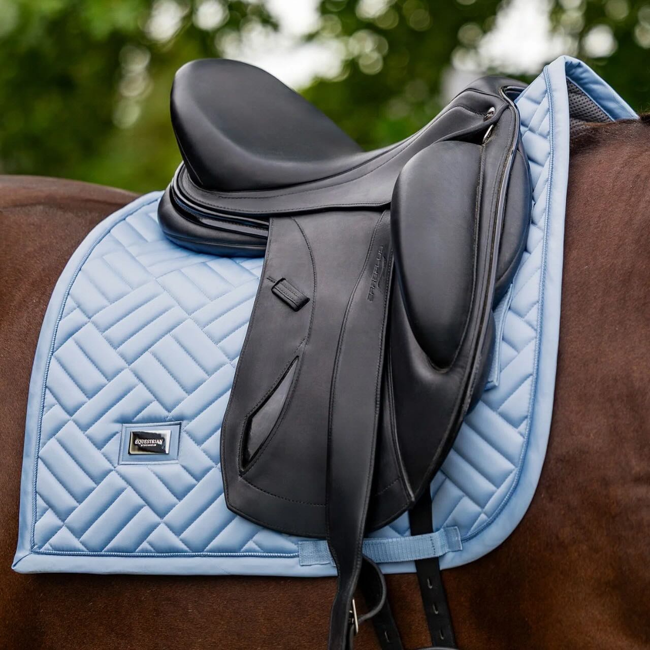 Dressurschabracke Modern Midsummer Blue Schabracke