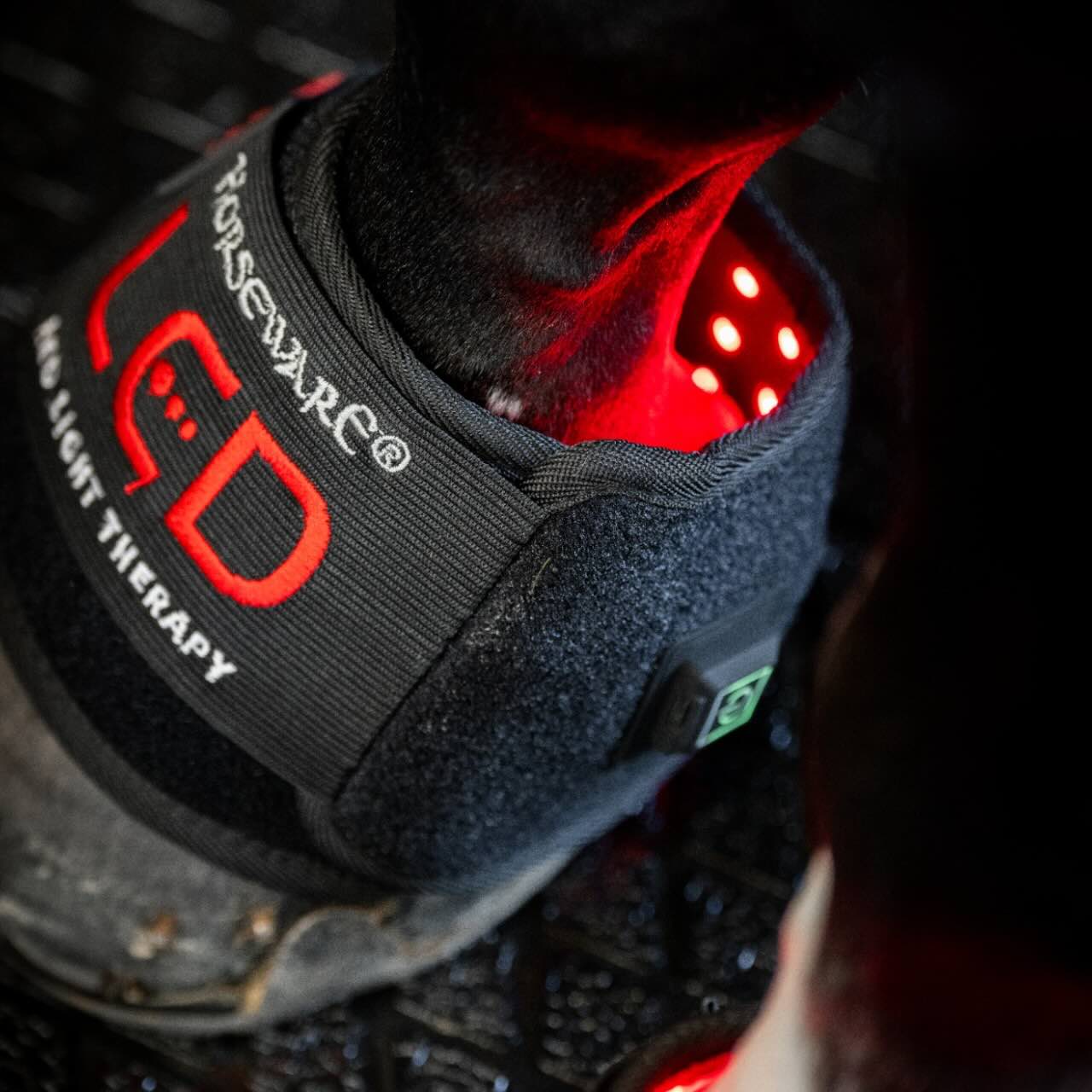 Horseware Ireland Minigamasche für LED-Rotlicht-Therapie Gamasche, Detailaufnahme am Pferdebein mit rotem Licht.
