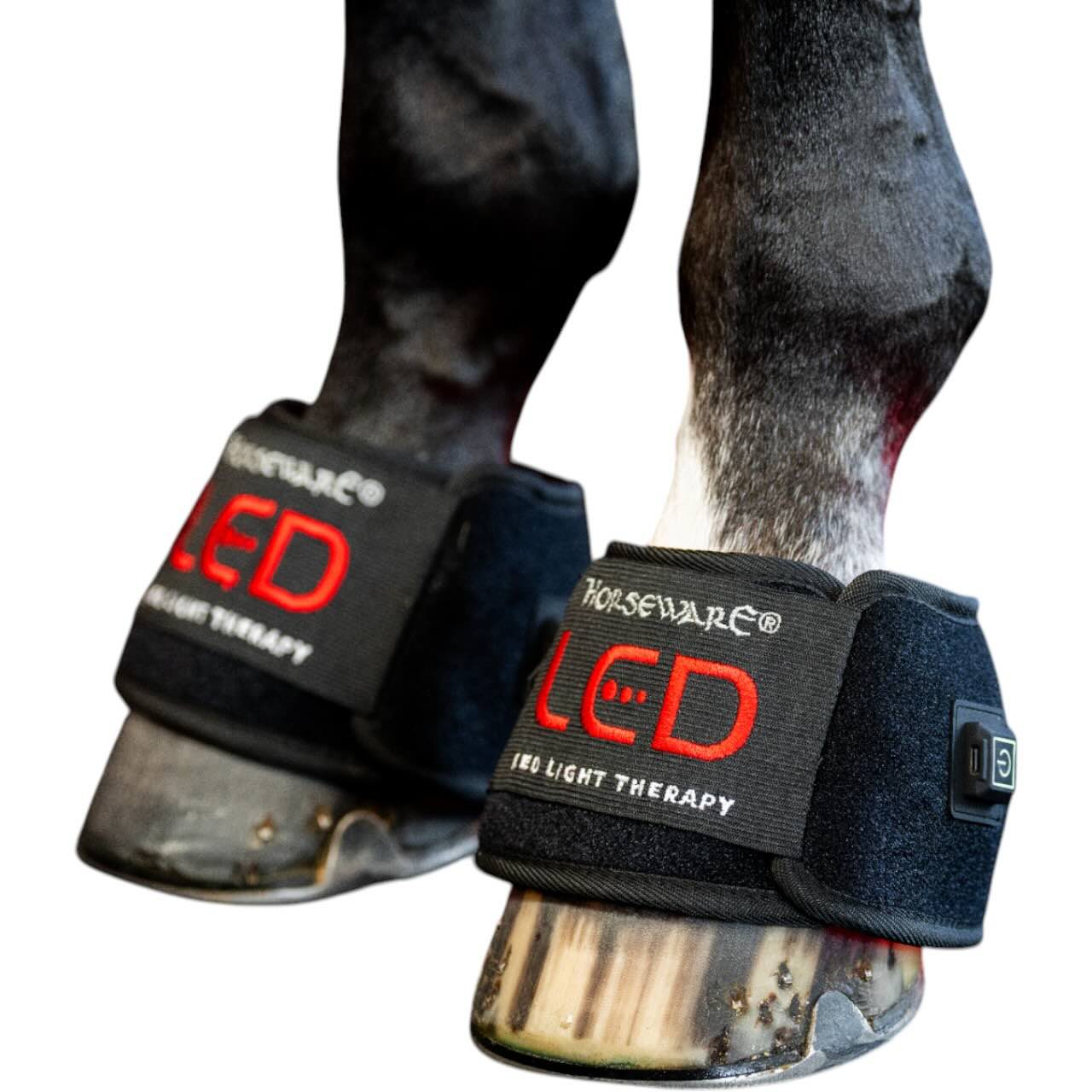 Horseware Ireland Minigamasche für LED-Rotlicht-Therapie Gamasche, Black, an Pferdebeinen getragen.