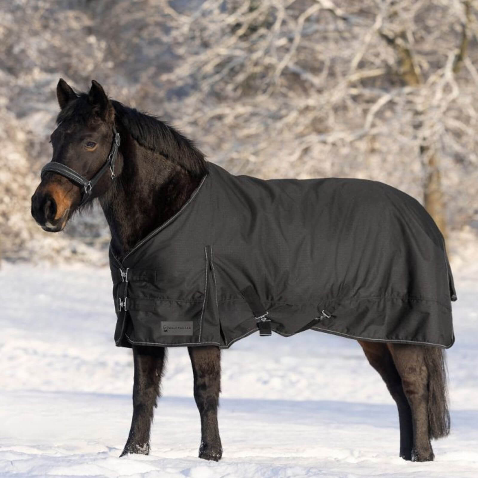 Outdoordecke 300g Nordic Weidedecke