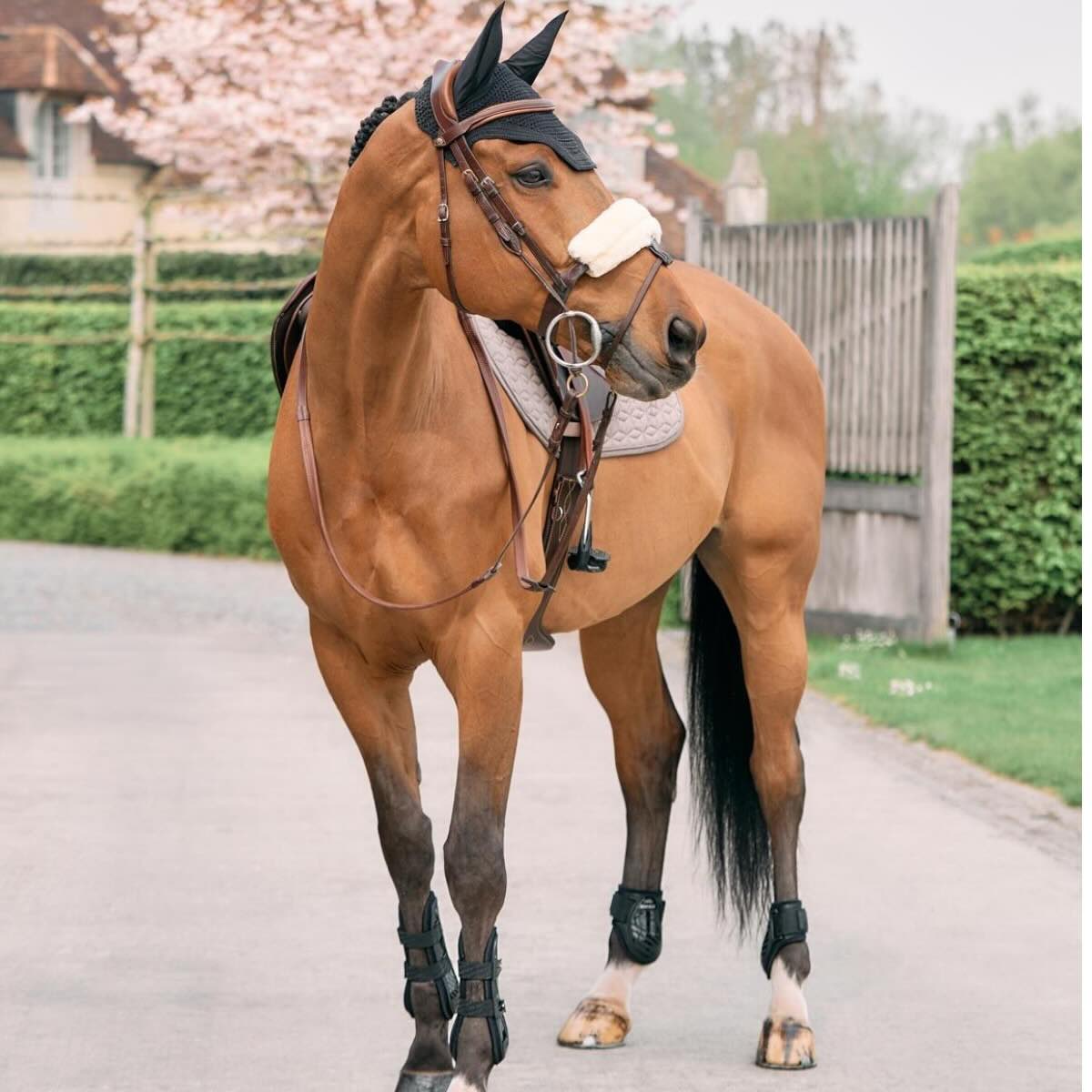 Kentucky Horsewear Nasenriemenschoner Lammfell