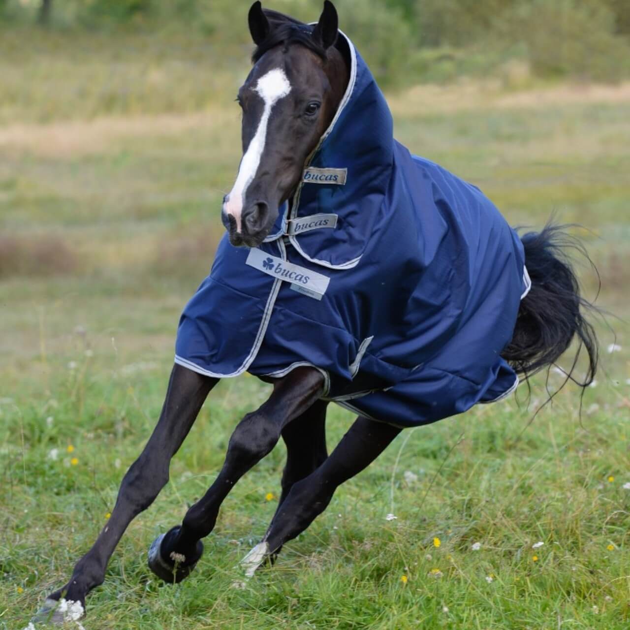 Outdoordecke 0g Freedom Turnout Light Full Neck Regendecke