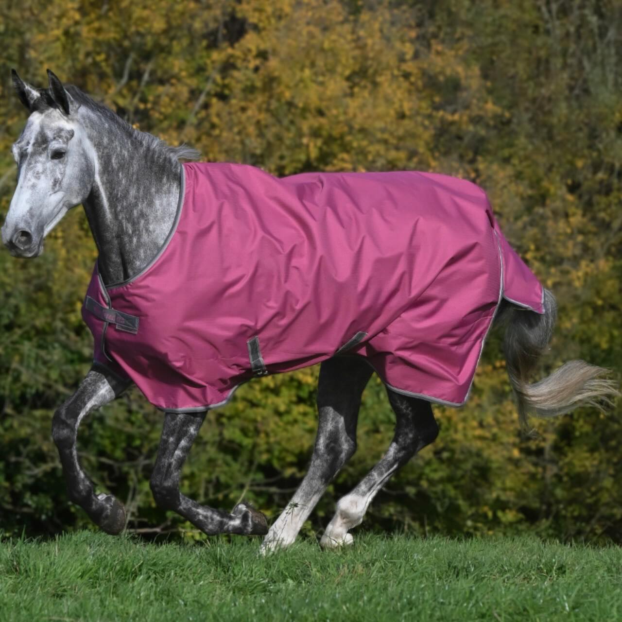 Outdoordecke 0g Freedom Turnout Light Regendecke
