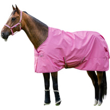 Aurora Pink