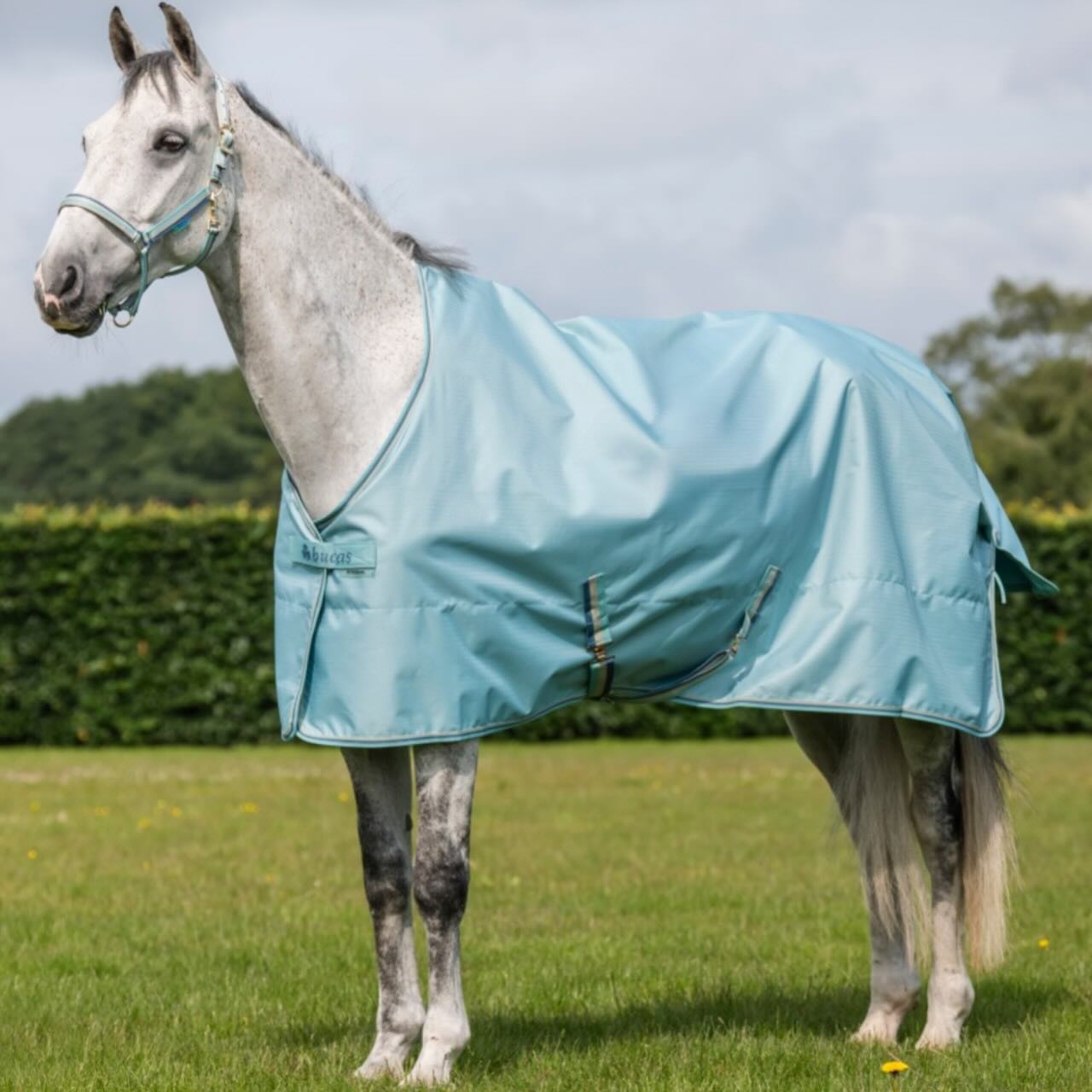 Outdoordecke 0g Freedom Turnout Light Regendecke