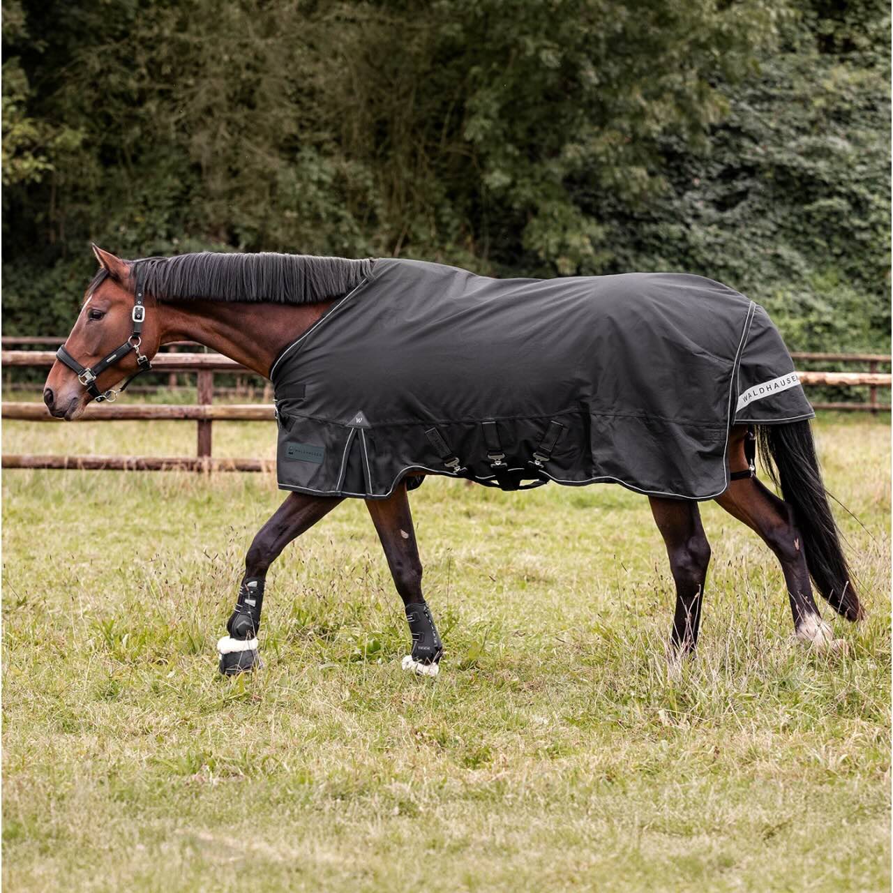 Outdoordecke 150g / 50g SCANDIC Multi-Layer Funktionsdecke