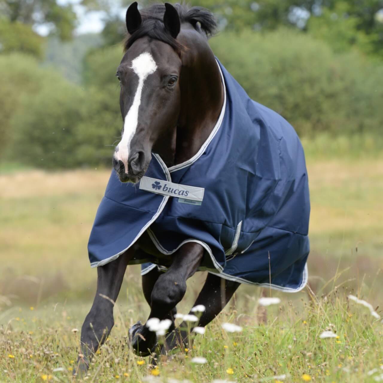 Outdoordecke 150g Freedom Turnout Weidedecke