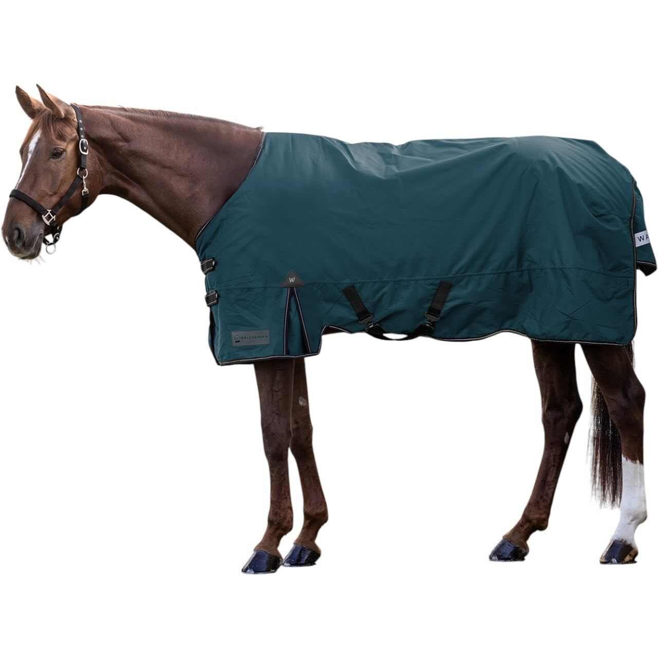 Outdoordecke 300g Arctic Weidedecke