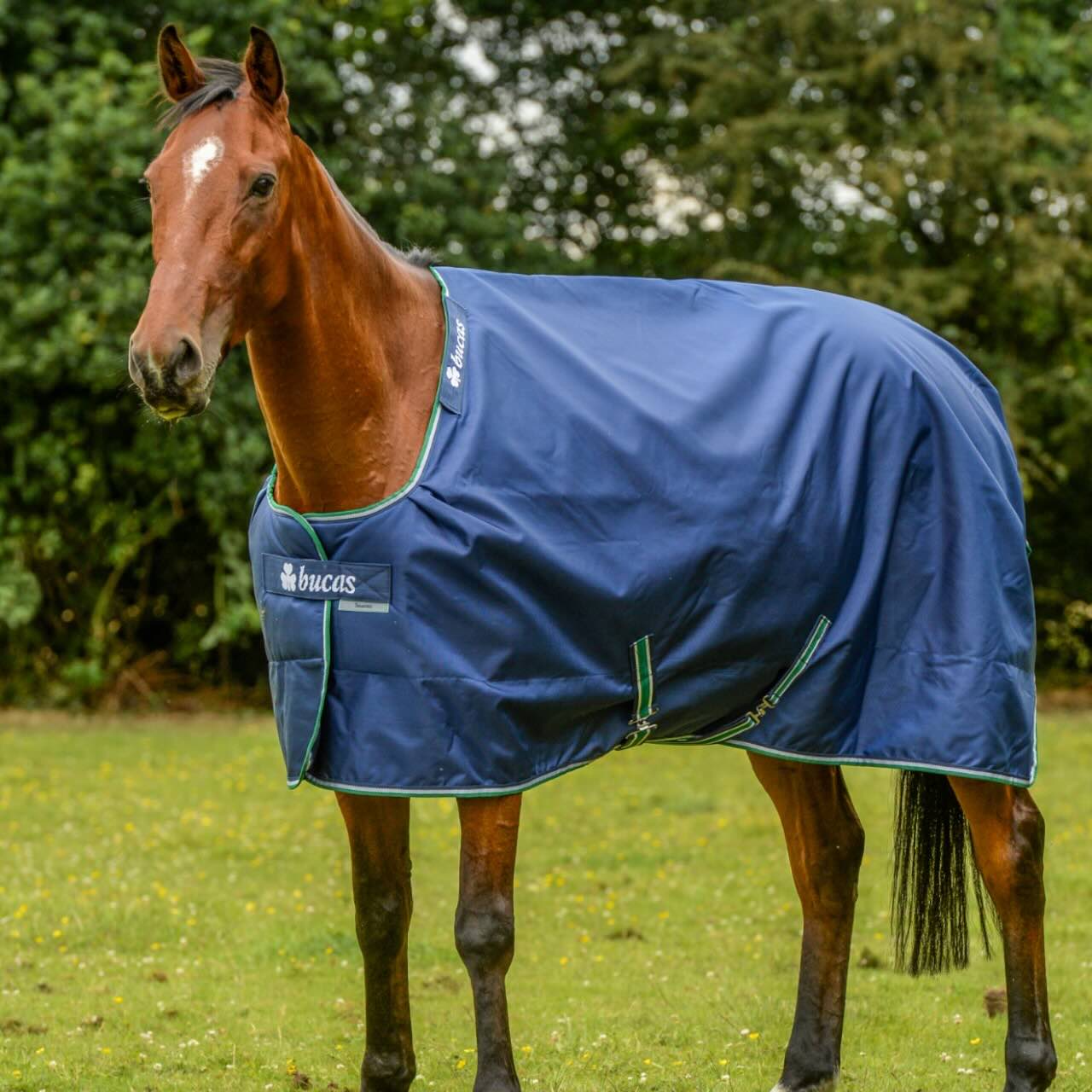 Outdoordecke 300g Smartex Turnout Extra Big Neck Weidedecke