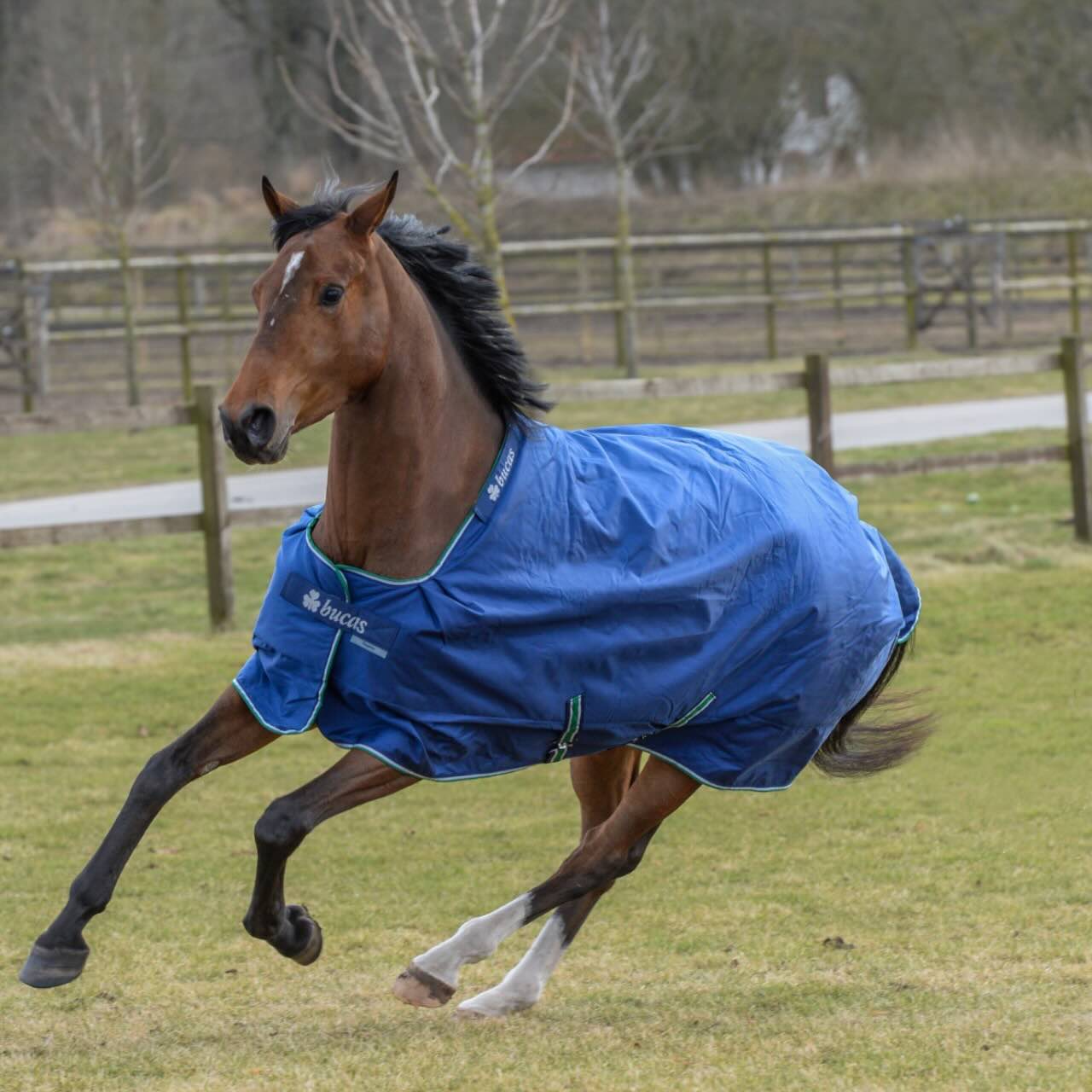 Outdoordecke 300g Smartex Turnout Extra Big Neck Weidedecke