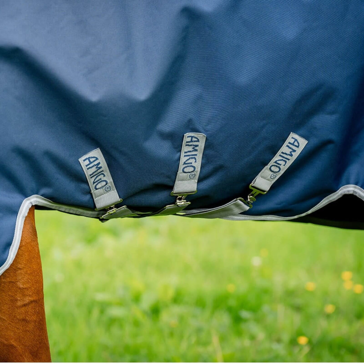 Outdoordecke 50g + 100g + 200g Liner Amigo® Bravo 12 Bundle Weidedecke, Blau, Detailaufnahme am Pferd.