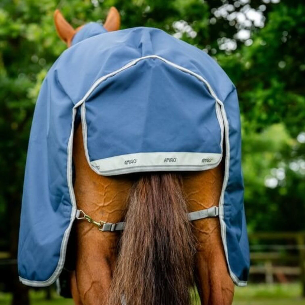 Horseware Ireland Outdoordecke 50g + 100g + 200g Liner Amigo® Bravo 12 Bundle Weidedecke, Midsummer Blue, Pferd von hinten.