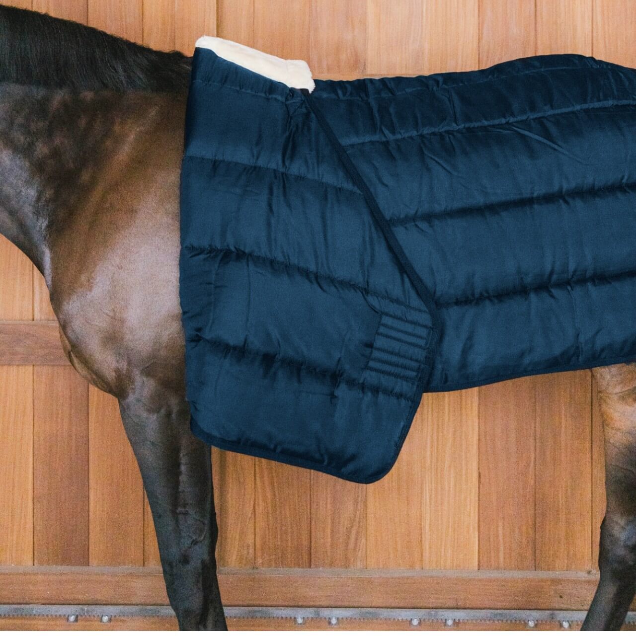Unterdecke 400g Comfort Liner Turnout Rug