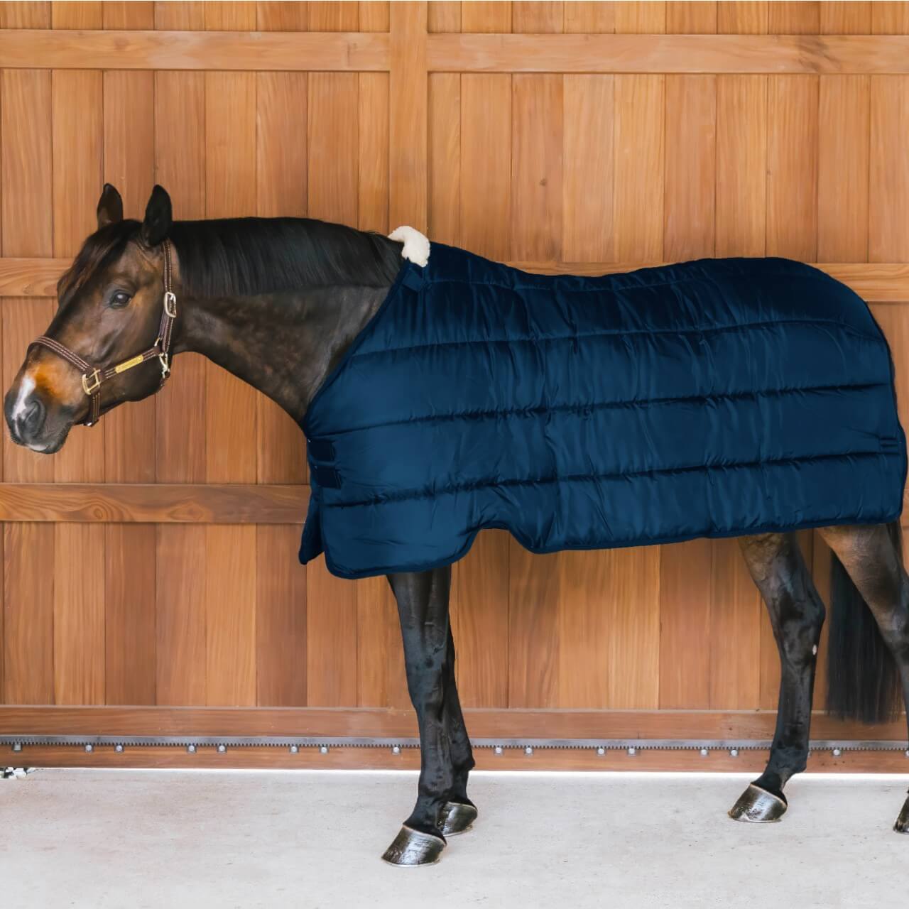 Unterdecke 200g Comfort Liner Turnout Rug