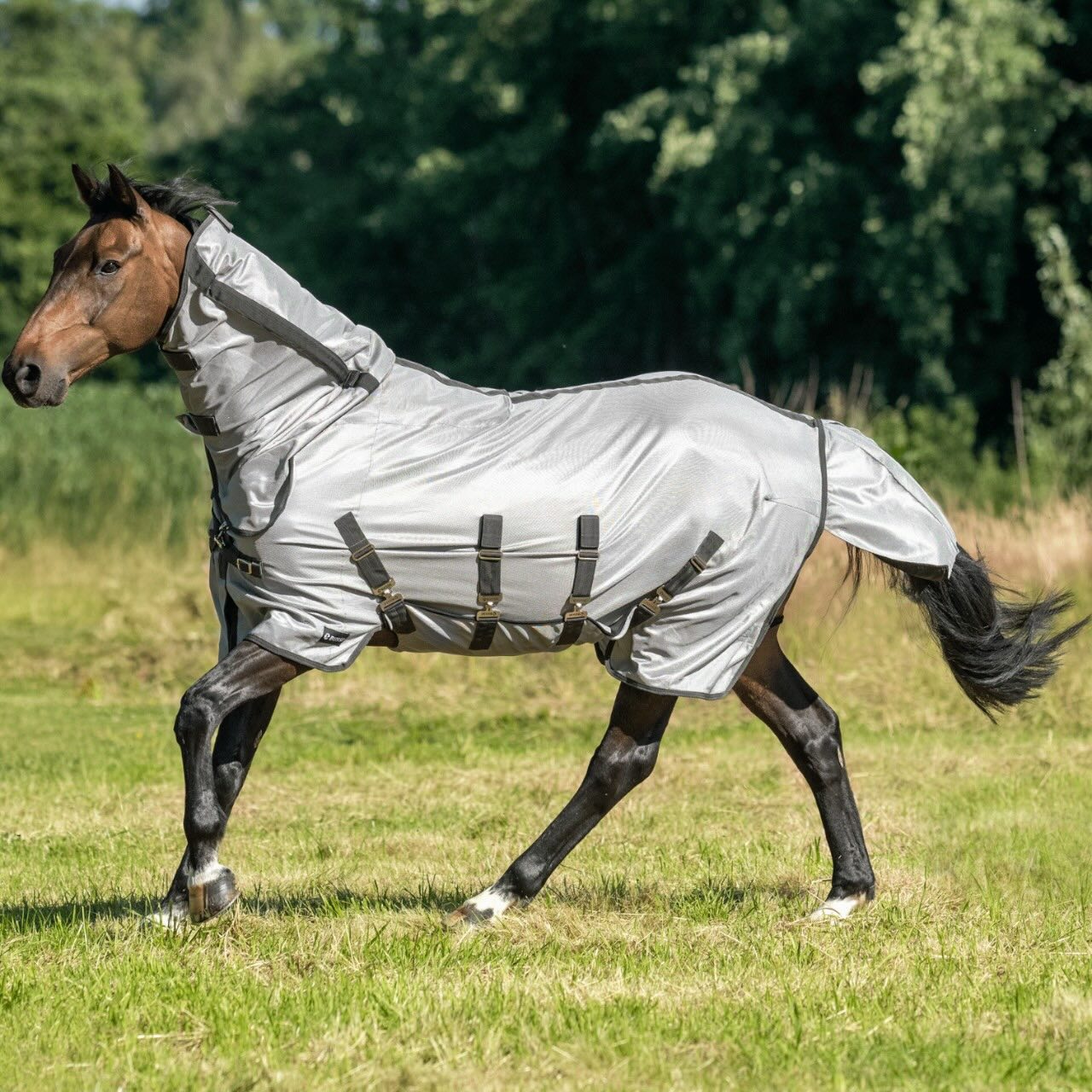 Outdoordecke Superb AB Fliegendecke