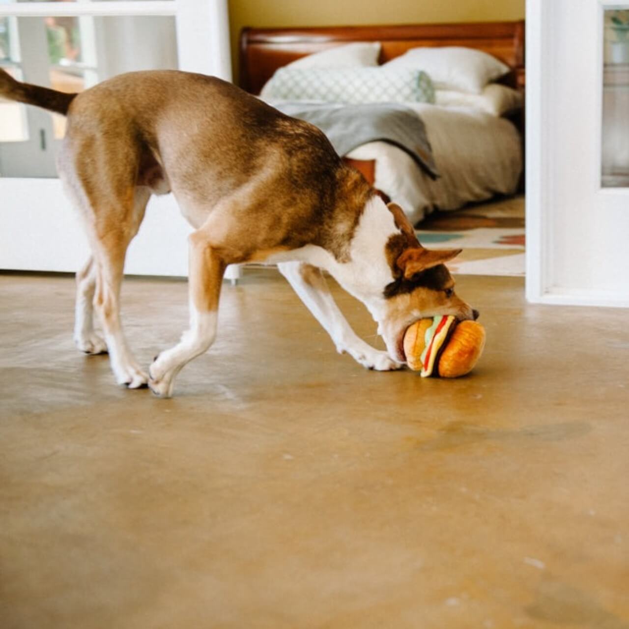Hundespielzeug Plush Toy American Classic