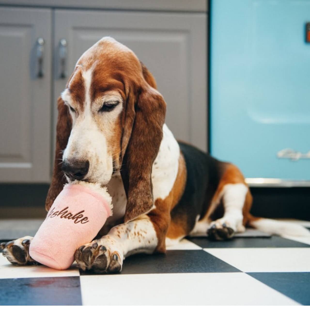 Hundespielzeug Plush Toy American Classic