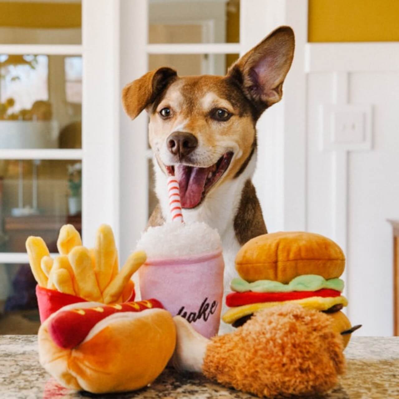 Hundespielzeug Plush Toy American Classic