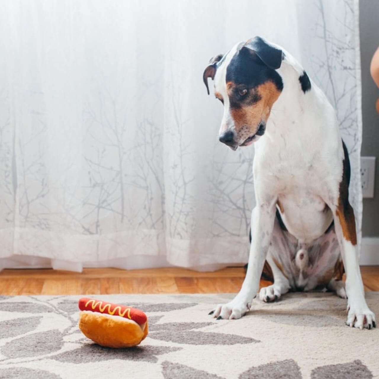 Hundespielzeug Plush Toy American Classic