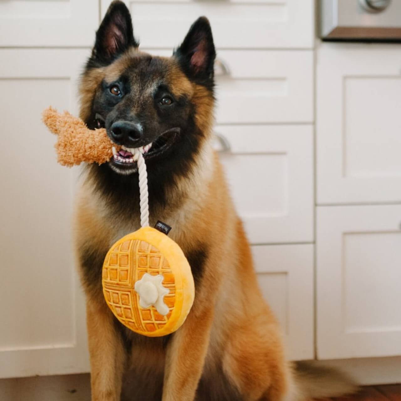 Hundespielzeug Plush Toy Barking Brunch