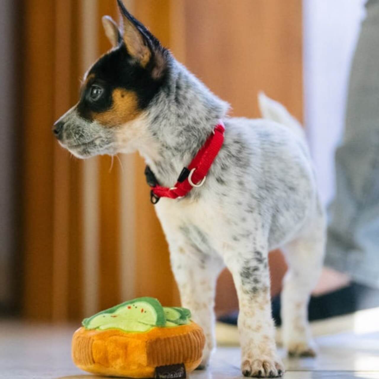 Hundespielzeug Plush Toy Barking Brunch