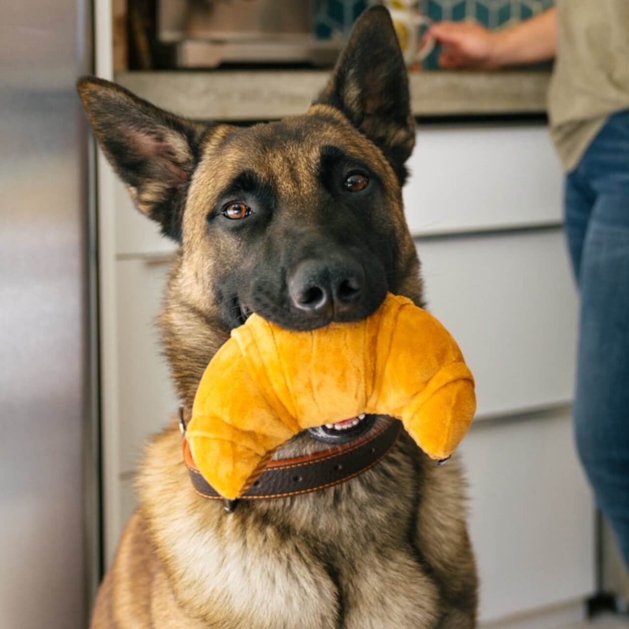 Hundespielzeug Plush Toy Barking Brunch