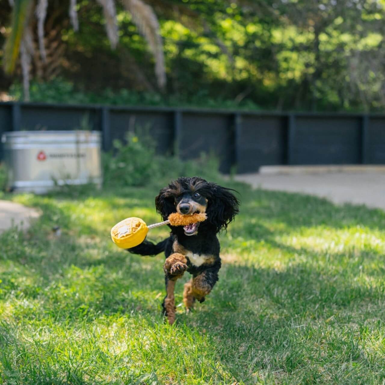 Hundespielzeug Plush Toy Barking Brunch