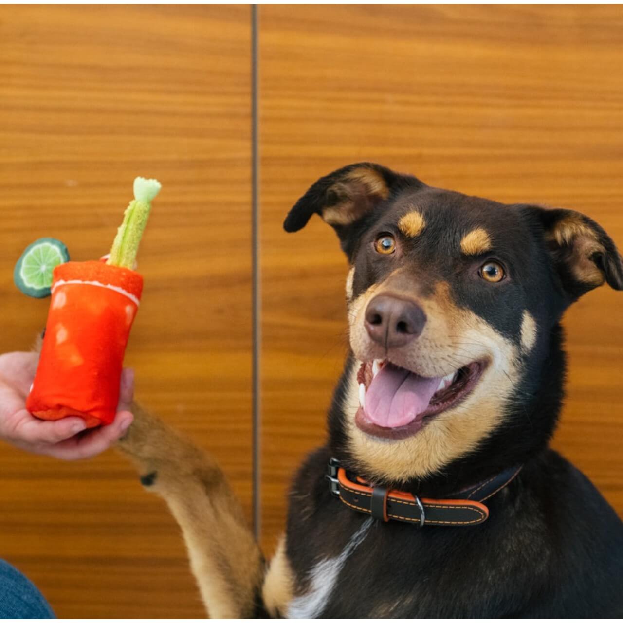 Hundespielzeug Plush Toy Barking Brunch