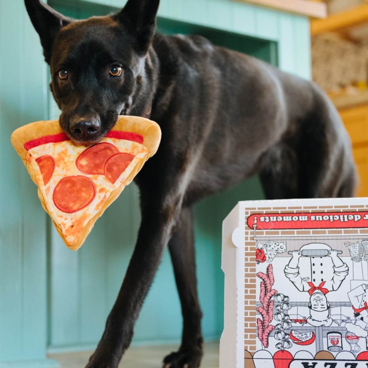 Hundespielzeug Snack Attack