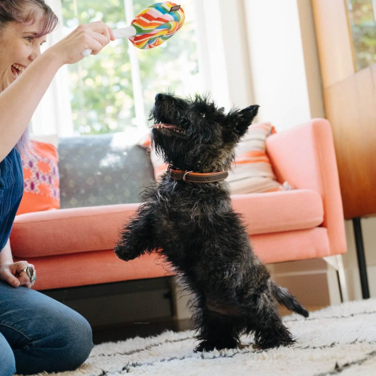 Hundespielzeug Snack Attack