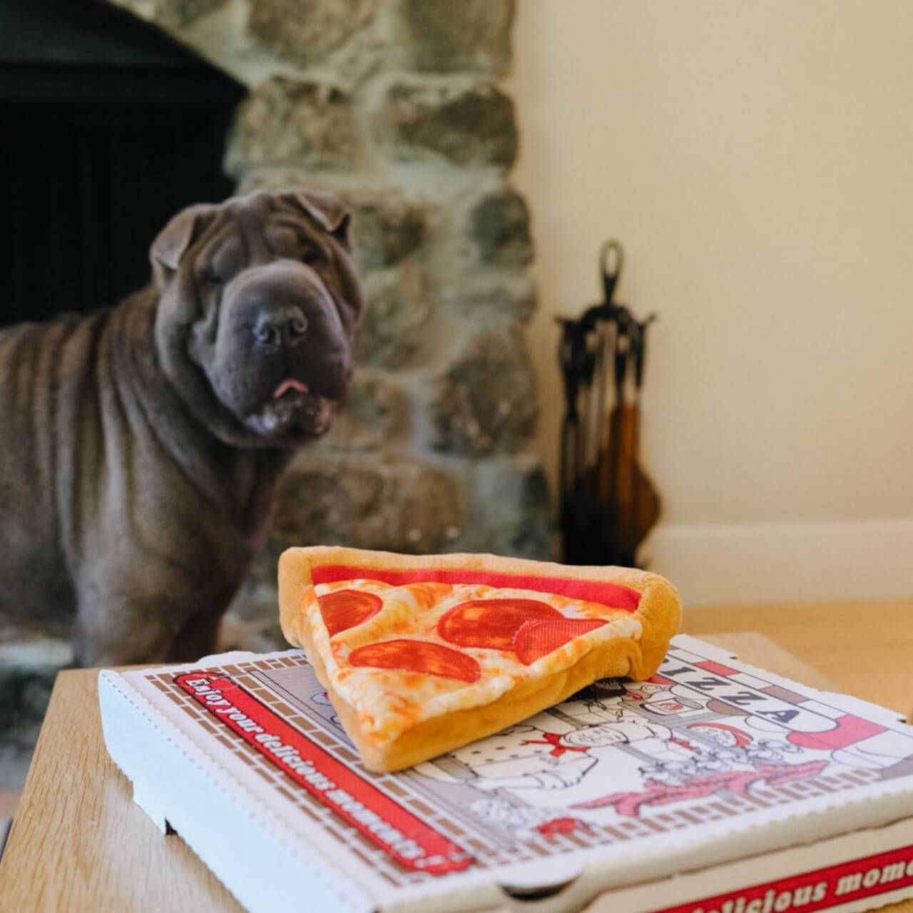 Hundespielzeug Snack Attack