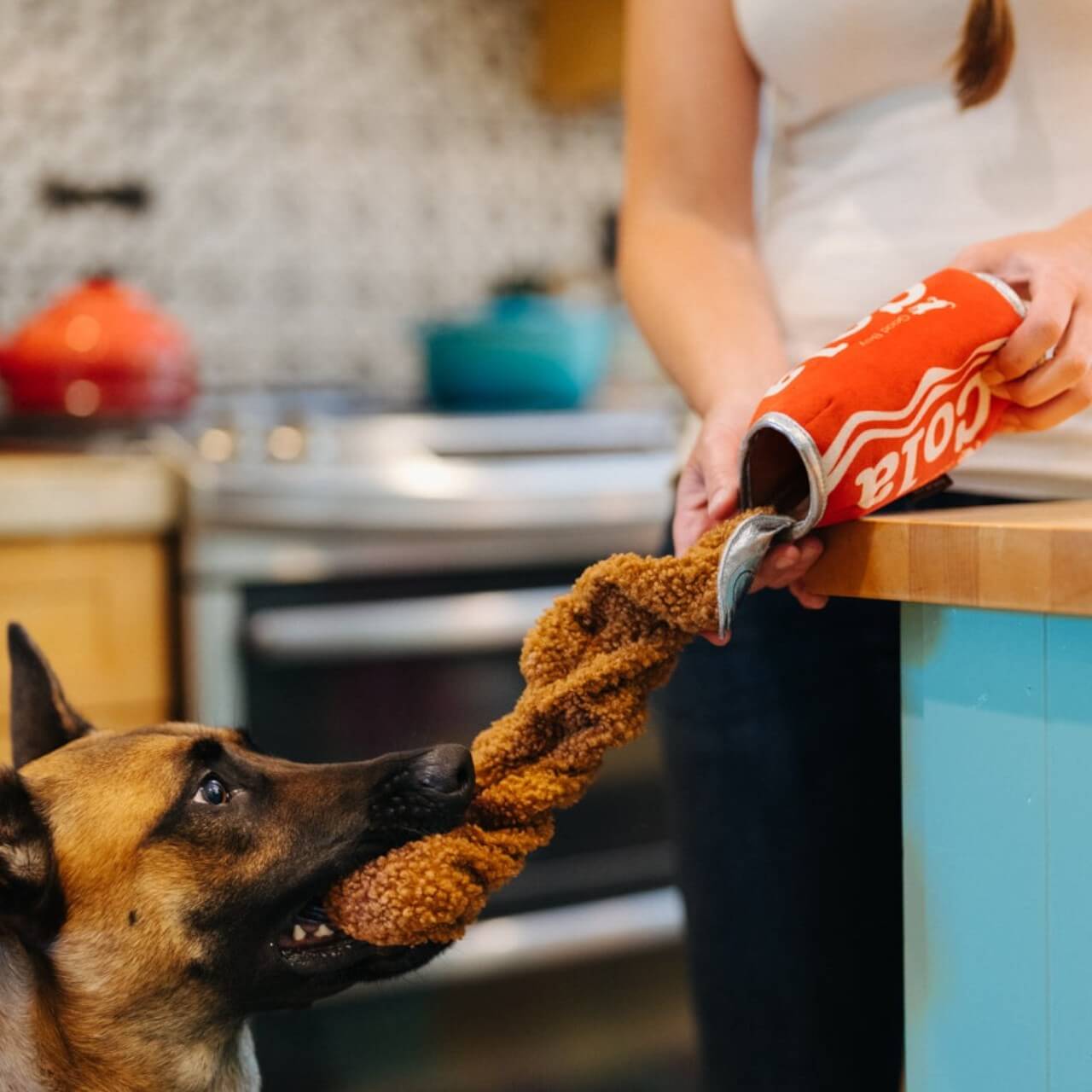 Hundespielzeug Snack Attack