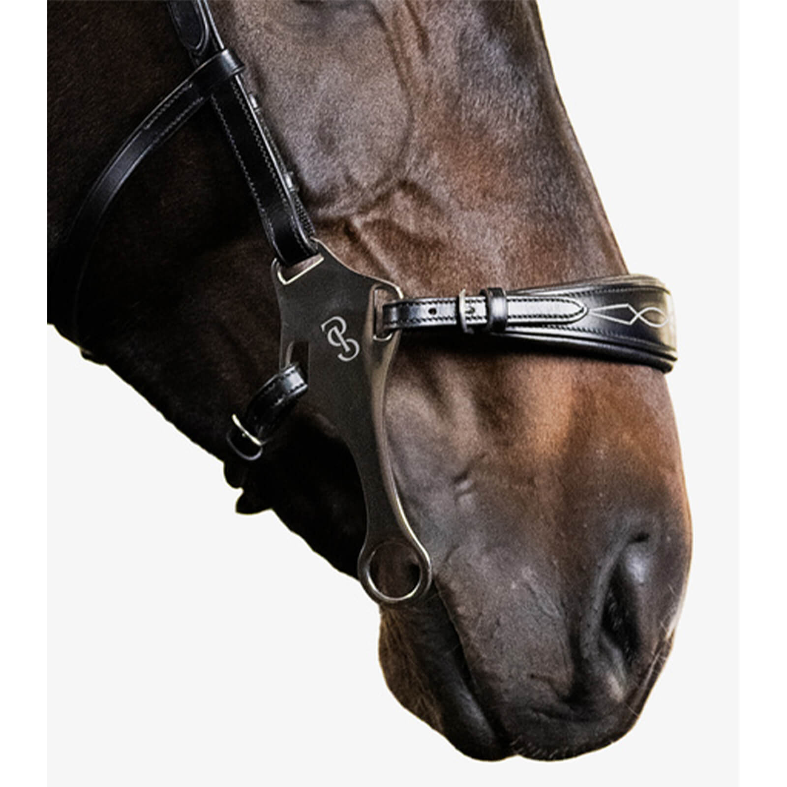 Nasenriemen Hackamore