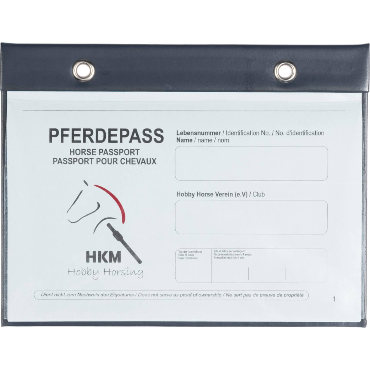 Pferdepass Hobby Horsing