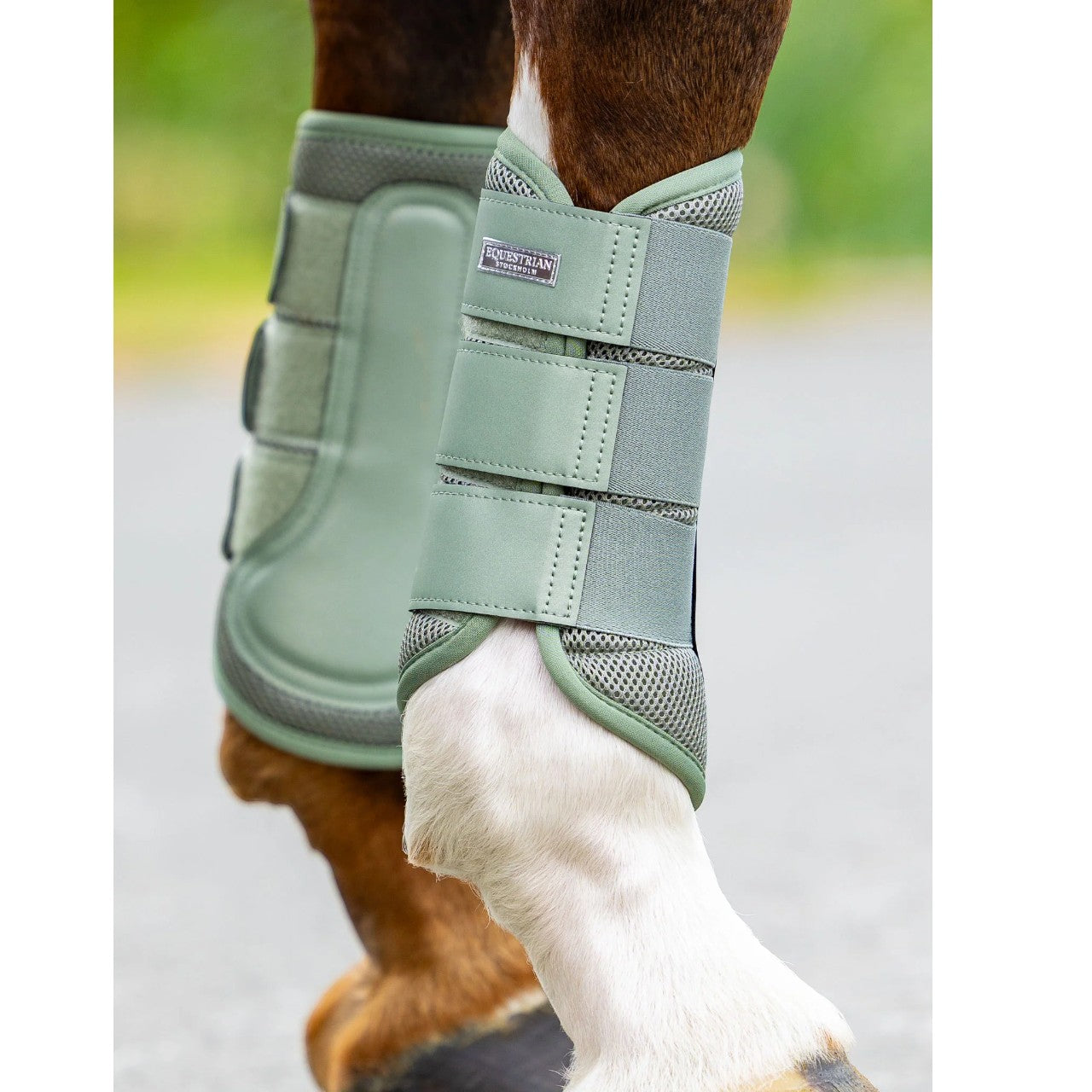 Dressurgamaschen Pistachio White Mesh Brushing Boots